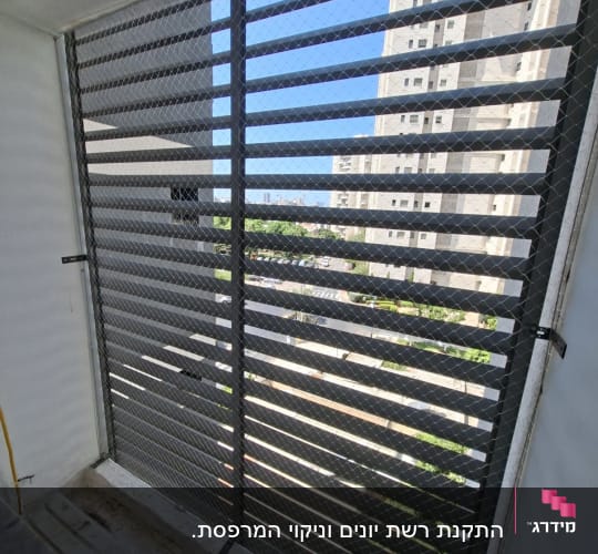 הרחקת יונים. 